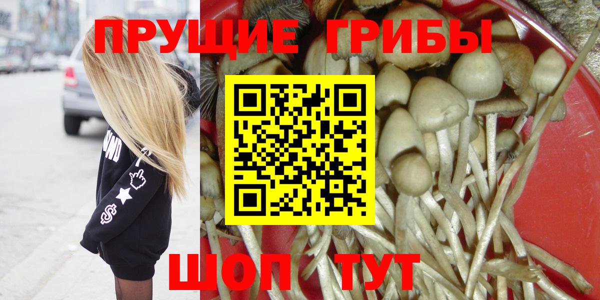 Псилоцибиновые грибы Psilocybe  Галлюциногенные грибы мухоморы  купить наркоту  Кемерово  Вход с VPN 